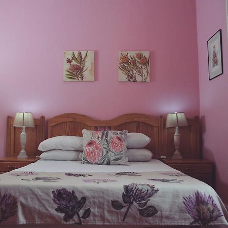 Homebase Melville Backpackers Johannesburg Eksteriør bilde